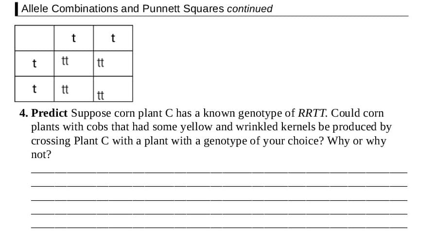 Allele Combinations and Punnett Squares continued
t
t
t tt
tt
t
tt
tt
4. Predict Suppose corn plant C has a known genotype of RRTT. Could corn
plants with cobs that had some yellow and wrinkled kernels be produced by
crossing Plant C with a plant with a genotype of your choice? Why or why
not?
