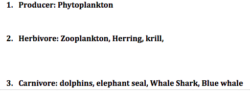 1. Producer: Phytoplankton
2. Herbivore: Zooplankton, Herring, krill,
3. Carnivore: dolphins, elephant seal, Whale Shark, Blue whale
