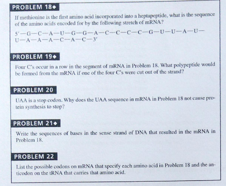 PROBLEM 18•
If methionine is the first amino acid incorporated into a heptapeptide, what is the sequence
of the amino acids encoded for by the following stretch of mRNA?
5'-G-C-A-U-G-G-A-C-C-C-C-G-U-U-A-U-
U-A-A-A-C-A-C-3'
PROBLEM 19
Four C's occur in a row in the segment of mRNA in Problem 18. What polypeptide would
be formed from the mRNA if one of the four C's were cut out of the strand?
PROBLEM 20
UAA is a stop codon. Why does the UAA sequence in mRNA in Problem 18 not cause pro-
tein synthesis to stop?
PROBLEM 21
Write the sequences of bases in the sense strand of DNA that resulted in the mRNA in
Problem 18.
PROBLEM 22
List the possible codons on mRNA that specify each amino acid in Problem 18 and the an-
ticodon on the tRNA that carries that amino acid.

