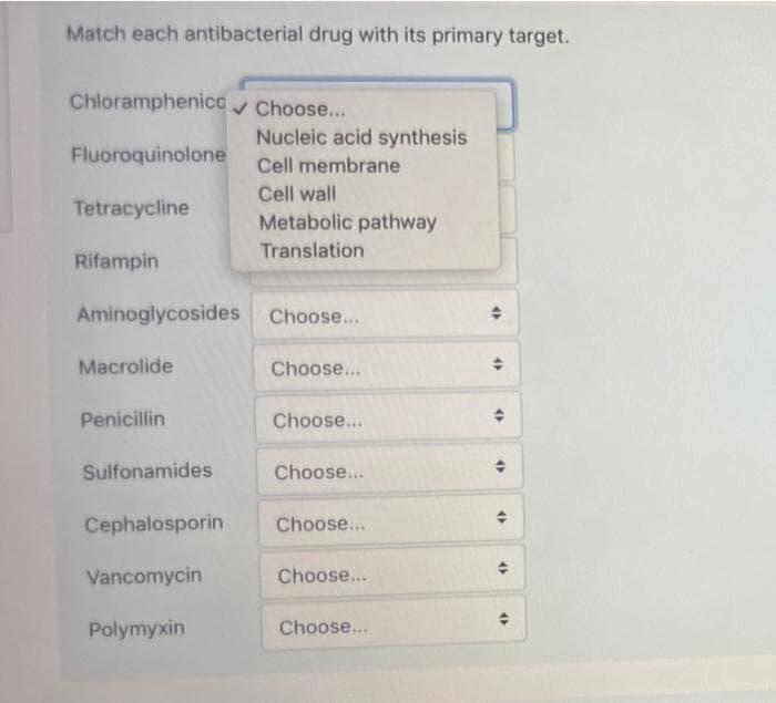 Match each antibacterial drug with its primary target.
Chloramphenico✓ Choose...
Nucleic acid synthesis
Fluoroquinolone
Cell membrane
Cell wall
Tetracycline
Metabolic pathway
Translation
Rifampin
Aminoglycosides Choose...
Macrolide
Choose...
Penicillin
Choose...
Sulfonamides
Choose...
Cephalosporin
Choose...
Vancomycin
Choose...
Polymyxin
Choose...
→
(
4
(
(
(
(