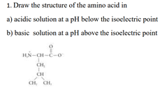1. Draw the structure of the amino acid in
a) acidic solution at a pH below the isoelectric point
b) basic solution at a pH above the isoelectric point
HN-CH-C-O
CH,
T
CH
CH, CH,