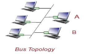 A
B
Bus Topology
