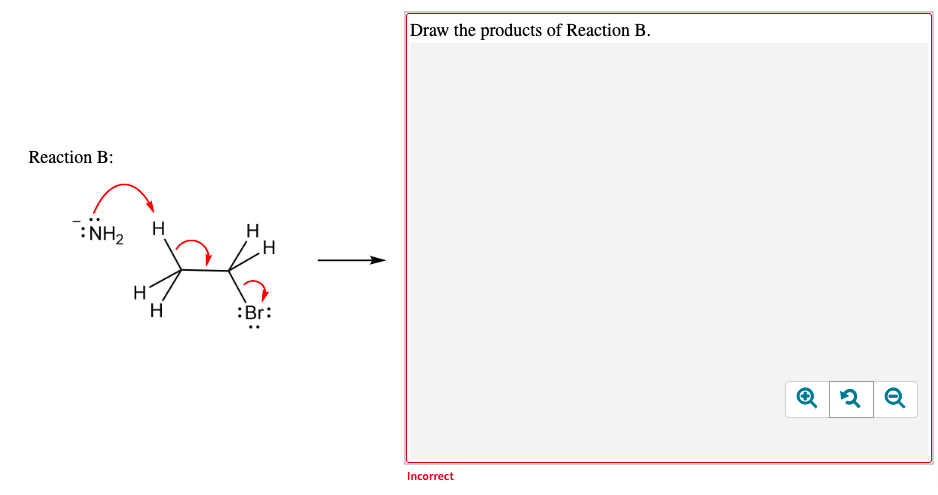 Draw the products of Reaction B.
Reaction B:
:NH2
H
H
:Br:
Incorrect
