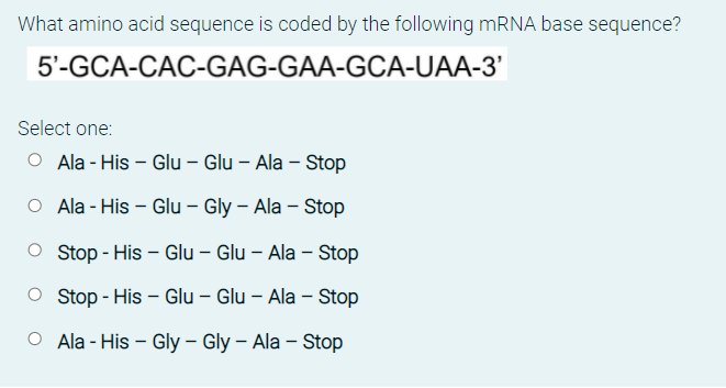 What amino acid sequence is coded by the following MRNA base sequence?
5'-GCA-CAC-GAG-GAA-GCA-UAA-3'
Select one:
O Ala - His – Glu – Glu – Ala – Stop
O Ala - His – Glu – Gly – Ala – Stop
O Stop - His – Glu – Glu – Ala – Stop
Stop - His – Glu – Glu – Ala – Stop
Ala - His – Gly – Gly – Ala – Stop
