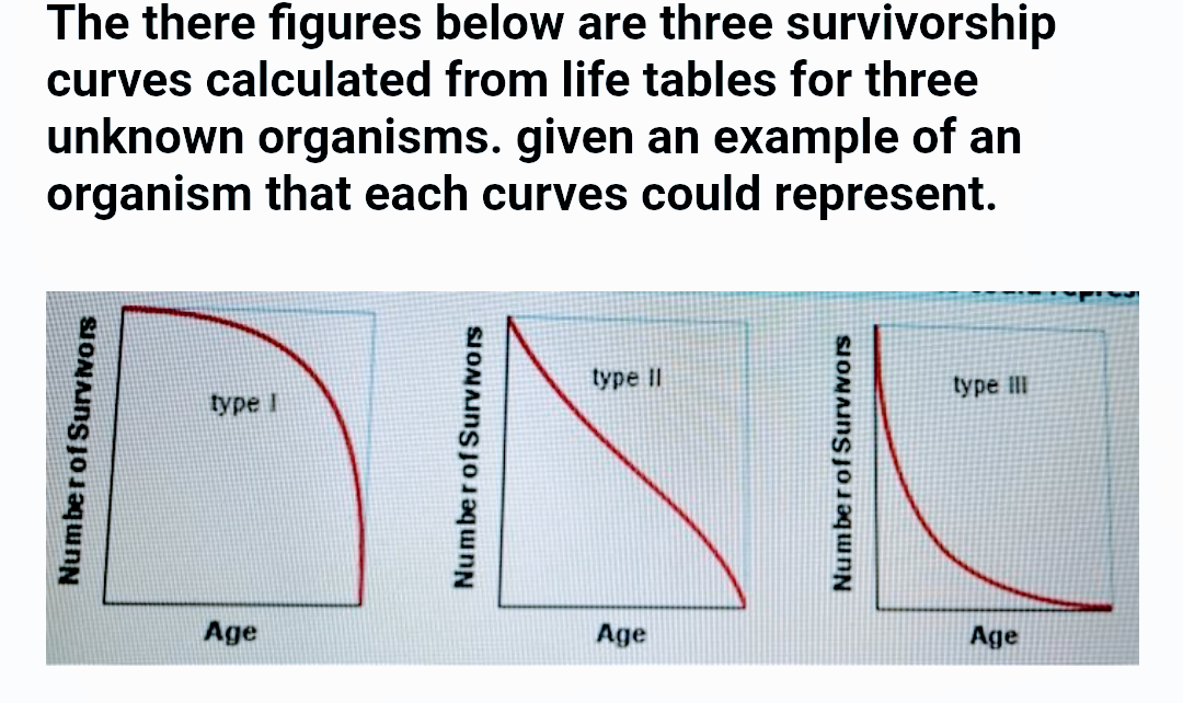 The there figures below are three survivorship
curves calculated from life tables for three
unknown organisms. given an example of an
organism that each curves could represent.
type II
type iII
type I
Age
Age
Age
