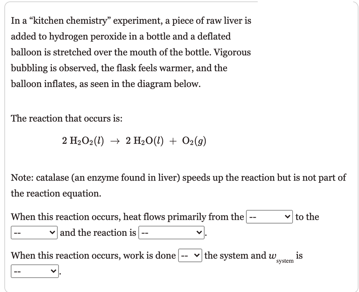 In a “kitchen chemistry" experiment, a piece of raw liver is
added to hydrogen peroxide in a bottle and a deflated
balloon is stretched over the mouth of the bottle. Vigorous
bubbling is observed, the flask feels warmer, and the
balloon inflates, as seen in the diagram below.
The reaction that occurs is:
2 H2O2(1) → 2 H2O(1) + O2(9)
Note: catalase (an enzyme found in liver) speeds up the reaction but is not part of
the reaction equation.
When this reaction occurs, heat flows primarily from the
v to the
--
v and the reaction is
When this reaction occurs, work is done
is
the system and w
system
