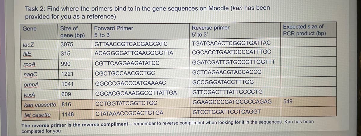 Task 2: Find where the primers bind to in the gene sequences on Moodle (kan has been
provided for you as a reference)
Gene
Size of
gene (bp)
3075
315
Грод
990
nagC
1221
ompA
1041
lexA
609
kan cassette 816
tet casette 1148
lacz
fliE
Forward Primer
5' to 3'
GTTAACCGTCACGAGCATC
ACAGGGGATTGAAGGGGTTA
CGTTCAGGAAGATATCC
CGCTGCCAACGCTGC
GGCCCGACCCATGAAAAC
GGCACGCAAAGGCGTTATTGA
Reverse primer
5' to 3'
TGATCACACTCGGGTGATTAC
CGCACCTGAATCCCCATTTGC
GGATCGATTGTGCCGTTGGTTT
Expected size of
PCR product (bp)
GCTCAGAACGTACCACCG
GCCGGGATACCTTTGG
GTTCGACTTTATTGCCCTG
CCTGGTATCGGTCTGC
GGAAGCCCGATGCGCCAGAG 549
CTATAAACCGCACTGTGA
GTCCTGGATTCCTCAGGT
The reverse primer is the reverse compliment - remember to reverse compliment when looking for it in the sequences. Kan has been
completed for you
