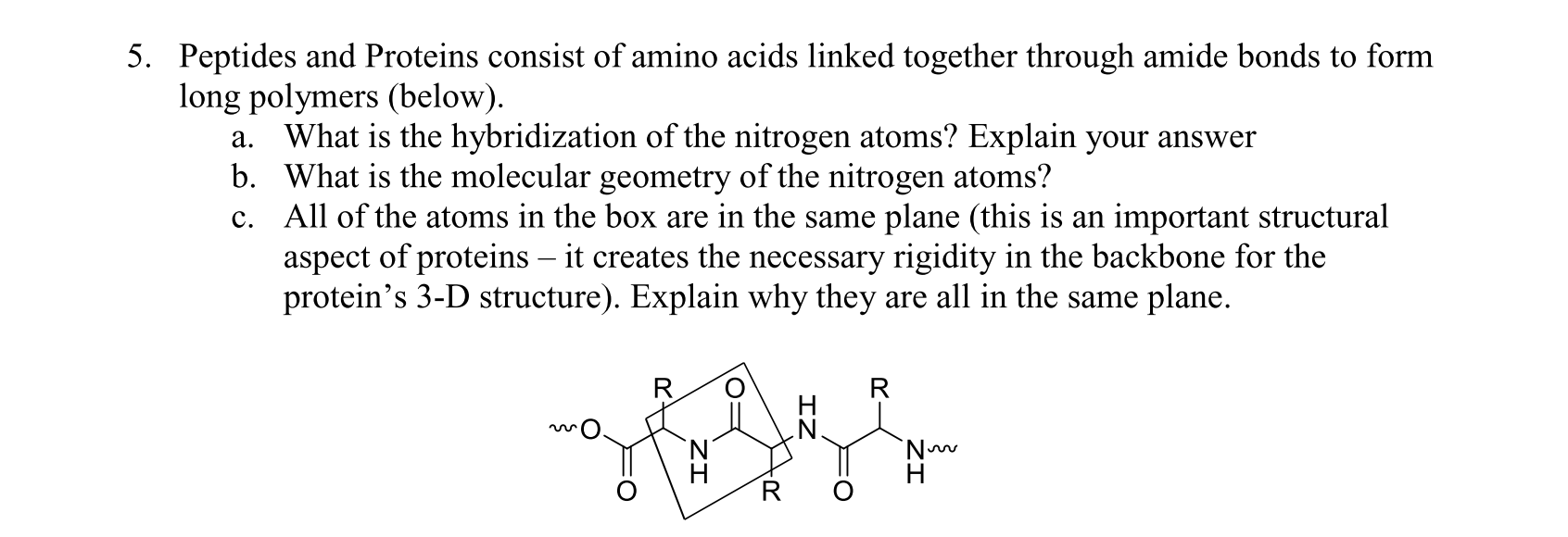 5. Peptides and Proteins consist of amino acids linked together through amide bonds to form
long polymers (below).
a. What is the hybridization of the nitrogen atoms? Explain your answer
b. What is the molecular geometry of the nitrogen atoms?
c. All of the atoms in the box are in the same plane (this is an important structural
aspect of proteins – it creates the necessary rigidity in the backbone for the
protein's 3-D structure). Explain why they are all in the same plane.
R
H
