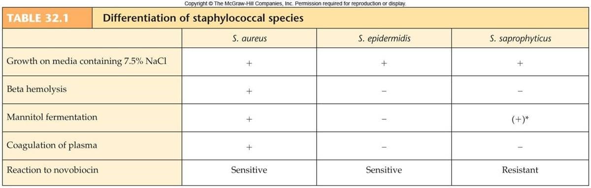 TABLE 32.1
Growth on media containing 7.5% NaCl
Beta hemolysis
Mannitol fermentation
Coagulation of plasma
Reaction to novobiocin
Copyright © The McGraw-Hill Companies, Inc. Permission required for reproduction or display.
Differentiation of staphylococcal species
S. aureus
+
+
Sensitive
S. epidermidis
+
Sensitive
S. saprophyticus
+
(+)*
Resistant