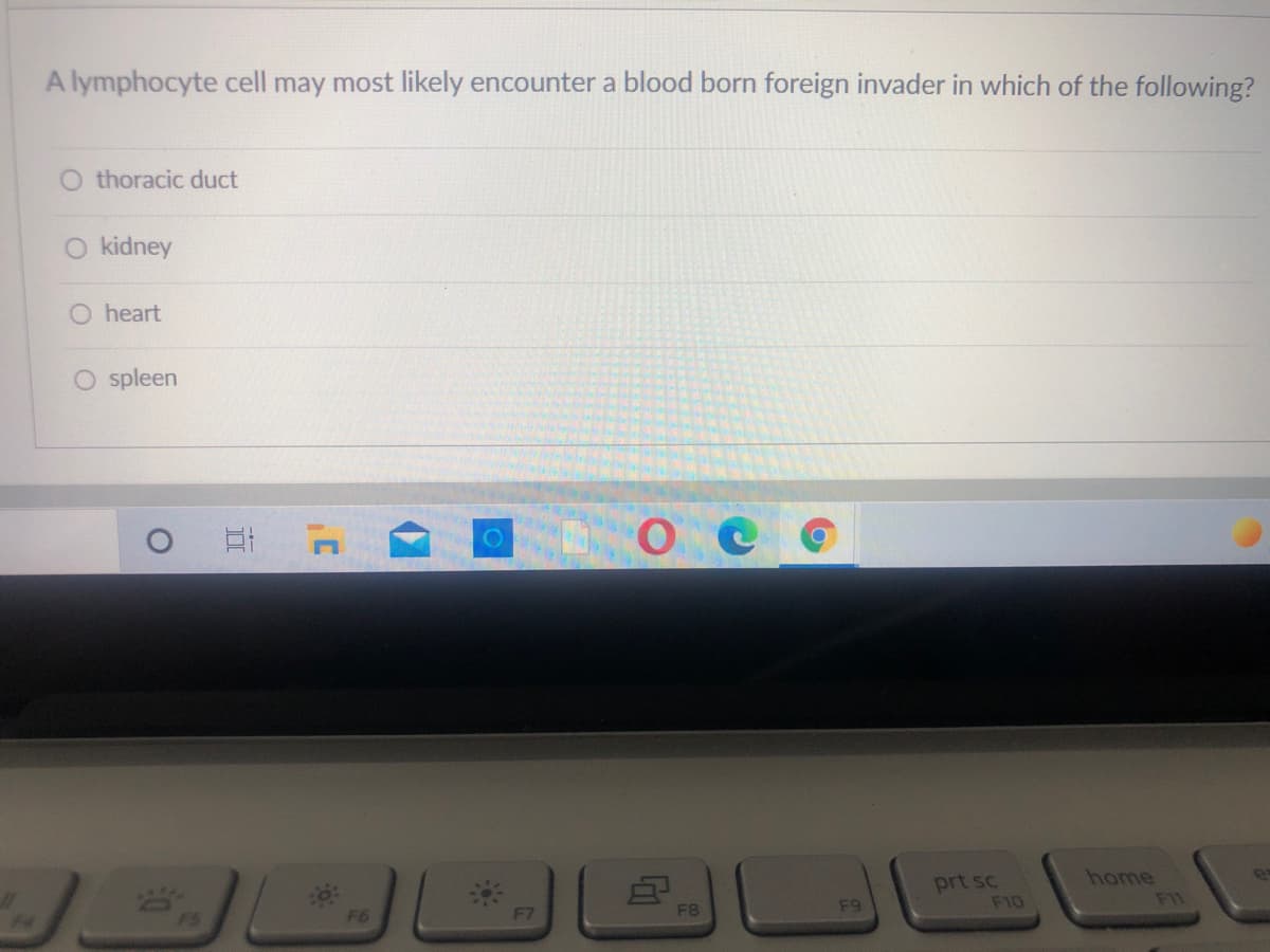 A lymphocyte cell may most likely encounter a blood born foreign invader in which of the following?
O thoracic duct
O kidney
heart
O spleen
prt sc
F10
home
F11
F7
F8
F9
F6
