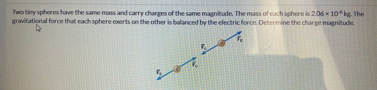 Two tiny spheres have the same mass and carry charges of the same magnitude. The mass of each sphere is 2.06 x 106 kg. The
gravitational force that each sphere exerts on the other is balanced by the electric force. Determine the charge magnitude.
FE
警
