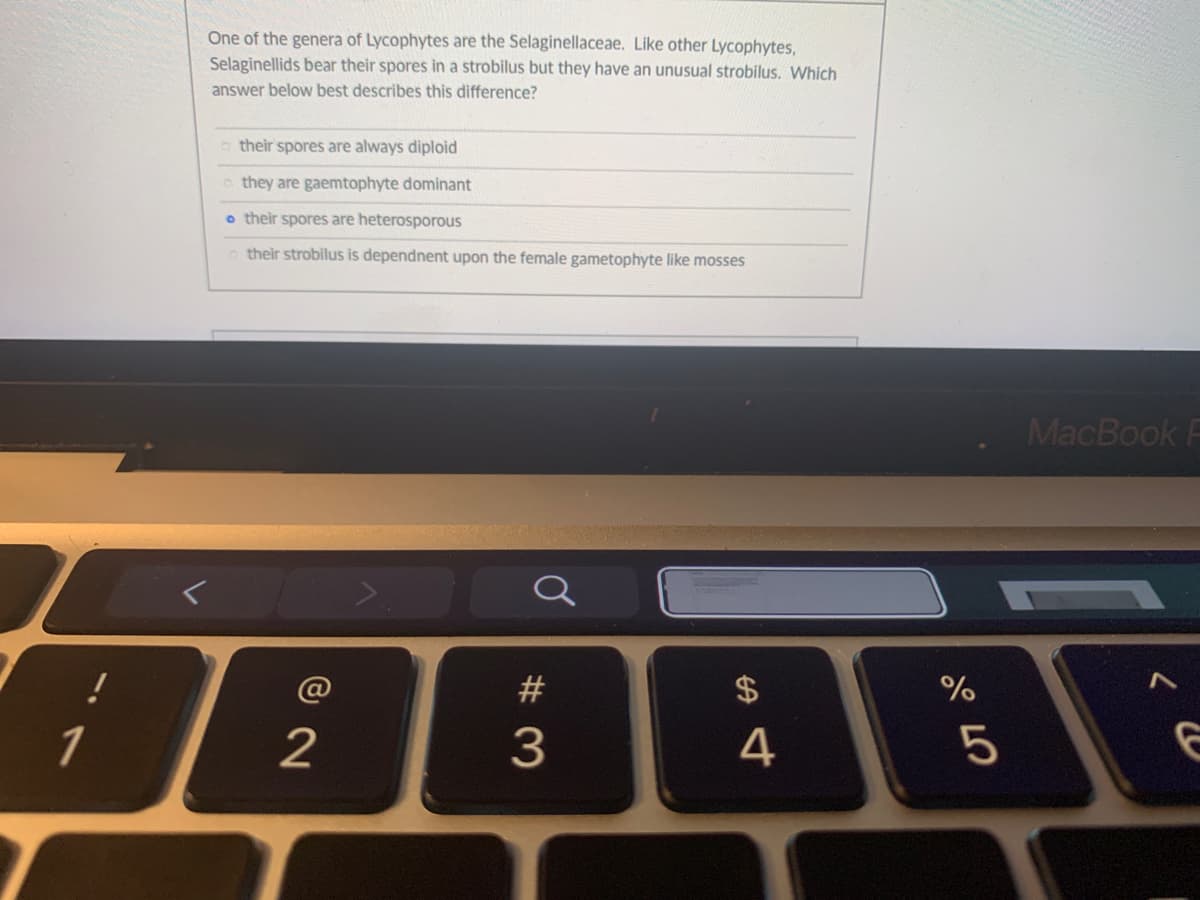 One of the genera of Lycophytes are the Selaginellaceae. Like other Lycophytes,
Selaginellids bear their spores in a strobilus but they have an unusual strobilus. Which
answer below best describes this difference?
their spores are always diploid
o they are gaemtophyte dominant
o their spores are heterosporous
their strobilus is dependnent upon the female gametophyte like mosses
MacBook
2$
1
2
4
# 3
