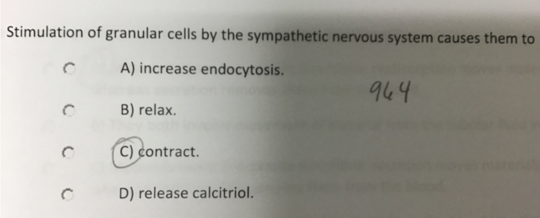Stimulation of granular cells by the sympathetic nervous system causes them to
A) increase endocytosis.
964
B) relax.
C) contract.
D) release calcitriol.
