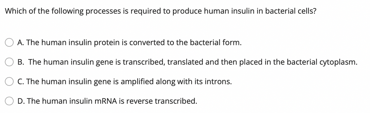 Which of the following processes is required to produce human insulin in bacterial cells?
A. The human insulin protein is converted to the bacterial form.
B. The human insulin gene is transcribed, translated and then placed in the bacterial cytoplasm.
C. The human insulin gene is amplified along with its introns.
D. The human insulin mRNA is reverse transcribed.
