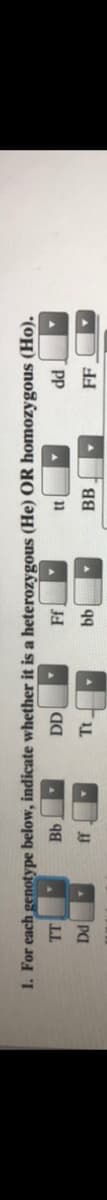 Pp
11
Ff
BB
q9
1. For each genotype below, indicate whether it is a heterozygous (He) OR homozygous (Ho).
Bb
LL
Pa

