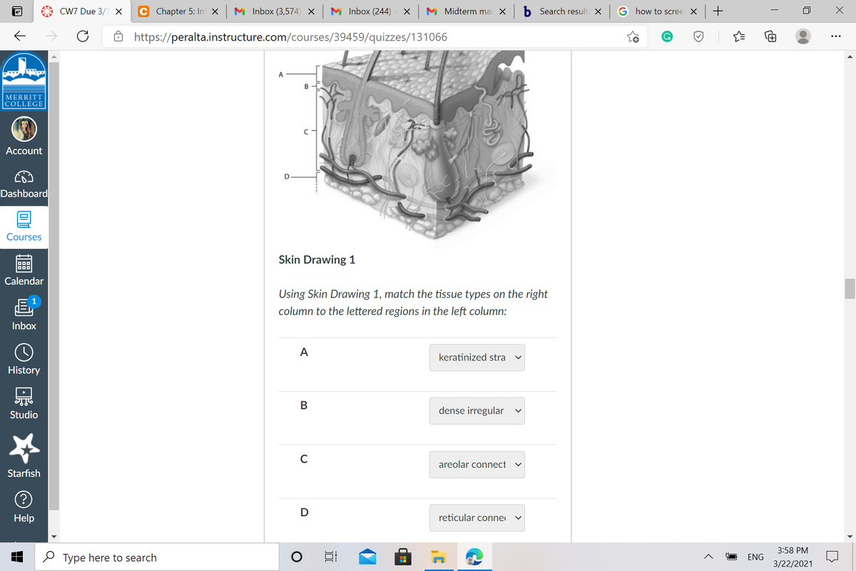 CW7 Due 3/1 X
C Chapter 5: In x
M Inbox (3,574) X
M Inbox (244)
M Midterm ma X
b Search result x
G how to scree
+
https://peralta.instructure.com/courses/39459/quizzes/131066
B
MERRITT
|COLLEGE
Account
Dashboard
Courses
Skin Drawing 1
Calendar
Using Skin Drawing 1, match the tissue types on the right
column to the lettered regions in the left column:
Inbox
A
keratinized stra
History
В
dense irregular
Studio
C
areolar connect
Starfish
D
Help
reticular conne
3:58 PM
O Type here to search
ENG
3/22/2021
