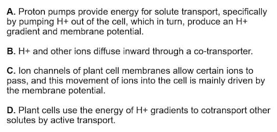 A. Proton pumps provide energy for solute transport, specifically
by pumping H+ out of the cell, which in turn, produce an H+
gradient and membrane potential.
B. H+ and other ions diffuse inward through a co-transporter.
C. Ion channels of plant cell membranes allow certain ions to
pass, and this movement of ions into the cell is mainly driven by
the membrane potential.
D. Plant cells use the energy of H+ gradients to cotransport other
solutes by active transport.
