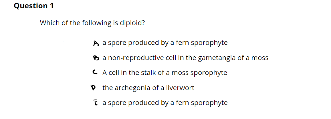 Question 1
Which of the following is diploid?
A a spore produced by a fern sporophyte
a non-reproductive cell in the gametangia of a moss
A cell in the stalk of a moss sporophyte
P the archegonia of a liverwort
a spore produced by a fern sporophyte