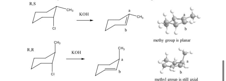 R,S
CH3
KOH
CH3
CI
methy group is planar
ÇH3
R,R
CH3
KOH
a
a
methyl group is still axial
