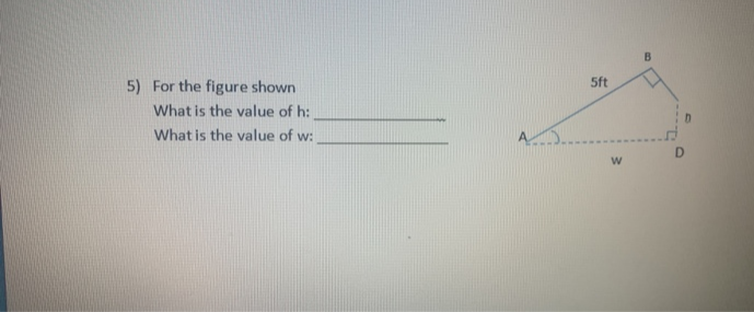 5ft
5) For the figure shown
What is the value of h:
What is the value of w:
D
