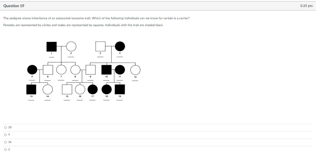 Question 19
0.25 pts
The pedigree shows inheritance of an autosomal recessive trait. Which of the following individuals can we know for certain is a carrier?
Females are represented by circles and males are represented by squares. Individuals with the trait are shaded black.
3
10
11
12
13
15
16
17
18
19
O 10
O 9
O 16
O 2

