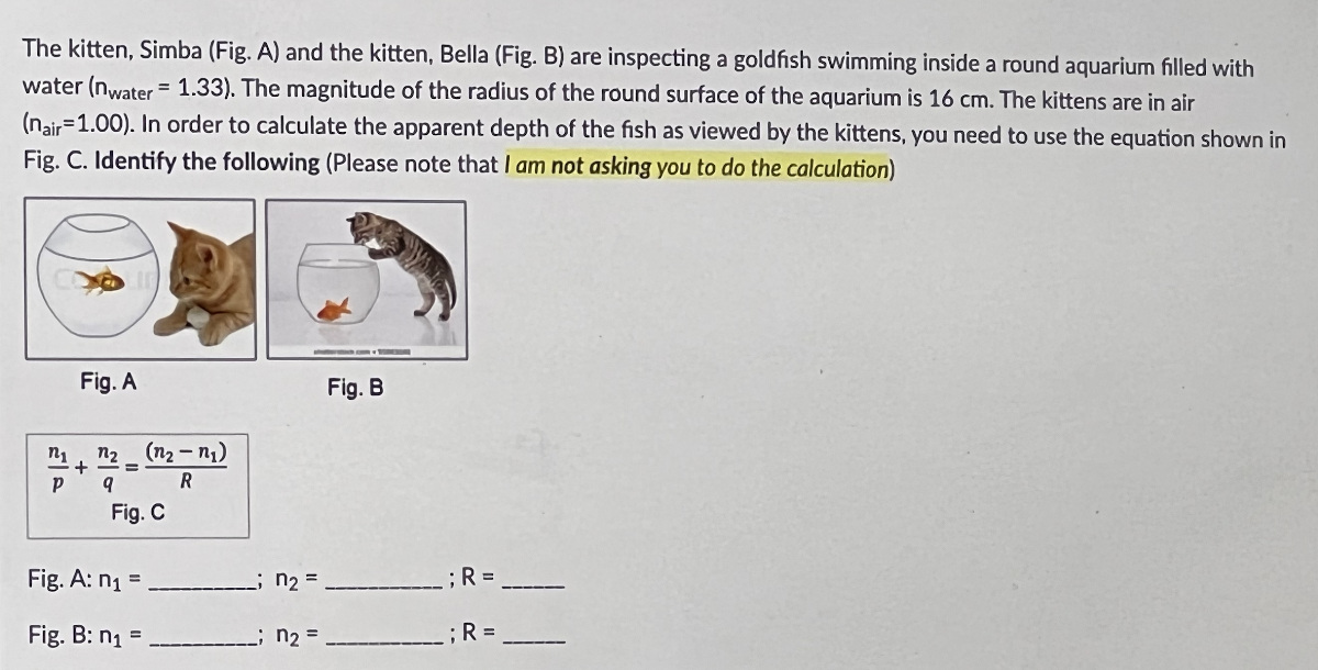 The kitten, Simba (Fig. A) and the kitten, Bella (Fig. B) are inspecting a goldfish swimming inside a round aquarium filled with
water (nwater = 1.33). The magnitude of the radius of the round surface of the aquarium is 16 cm. The kittens are in air
(nair=1.00). In order to calculate the apparent depth of the fish as viewed by the kittens, you need to use the equation shown in
Fig. C. Identify the following (Please note that I am not asking you to do the calculation)
n₁
P
Fig. A
+
n₂
9
=
(n₂-n₁)
R
Fig. C
Fig. A: n₁ =
Fig. B: n₁ =
; n₂ =
_; n₂ =
Fig. B
; R =
; R =