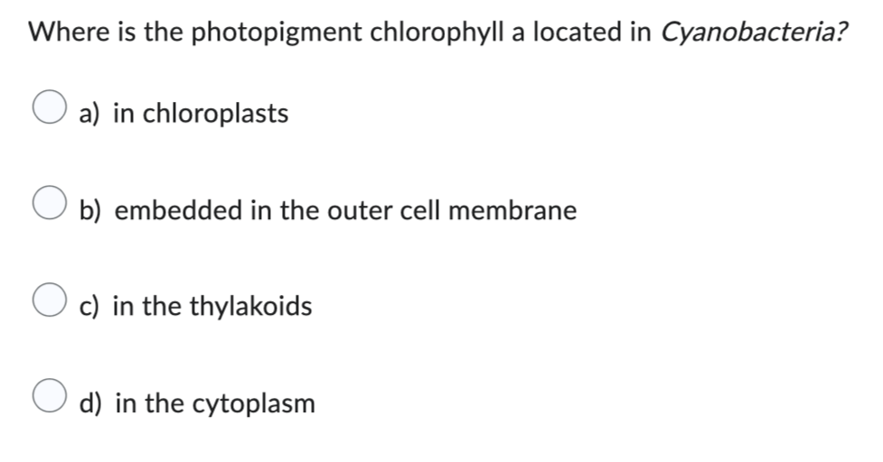 Where is the photopigment chlorophyll a located in Cyanobacteria?
a) in chloroplasts
b) embedded in the outer cell membrane
c) in the thylakoids
d) in the cytoplasm