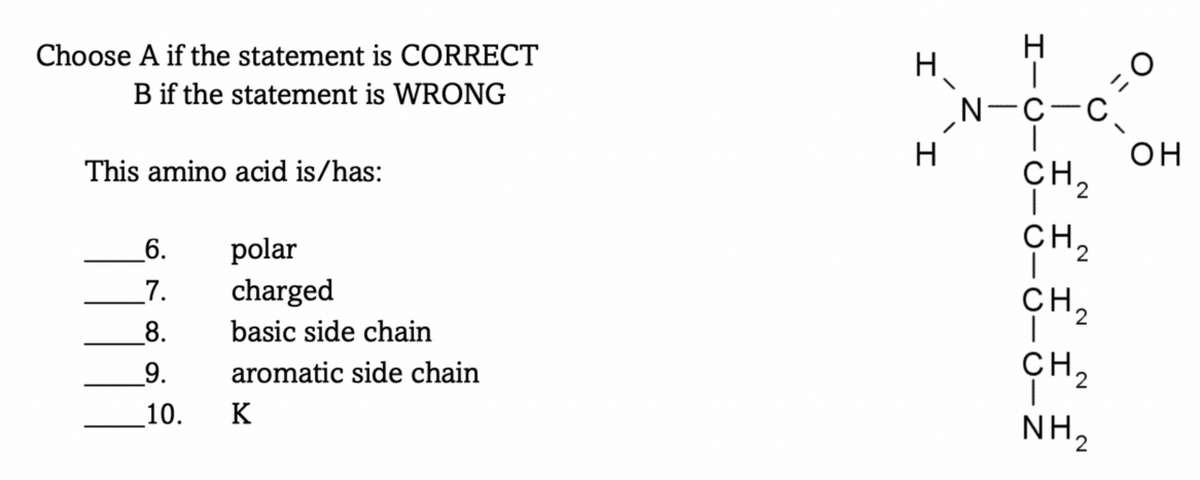 H.
N-C-C
Choose A if the statement is CORRECT
B if the statement is WRONG
H
он
CH,
This amino acid is/has:
CH2
6.
polar
CH2
|
CH2
|
NH,
_7.
charged
8.
basic side chain
9.
aromatic side chain
10.
K
