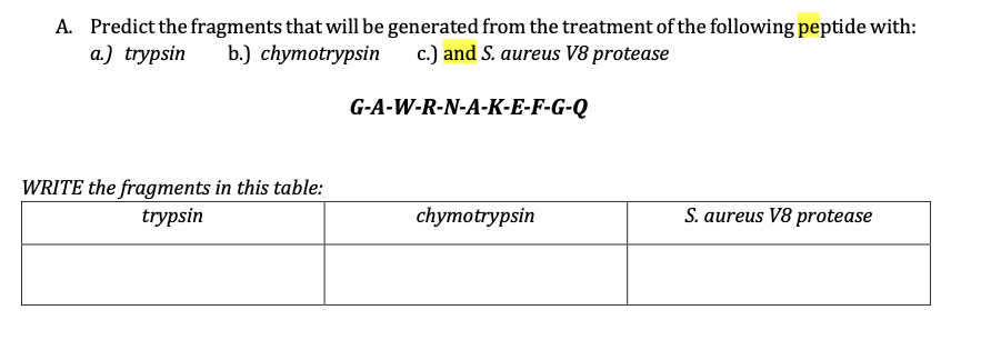 A. Predict the fragments that will be generated from the treatment of the following peptide with:
а.) trypsin
b.) chymotrypsin
c.) and S. aureus V8 protease
G-A-W-R-N-A-K-E-F-G-Q
WRITE the fragments in this table:
trypsin
chymotrypsin
S. aureus V8 protease
