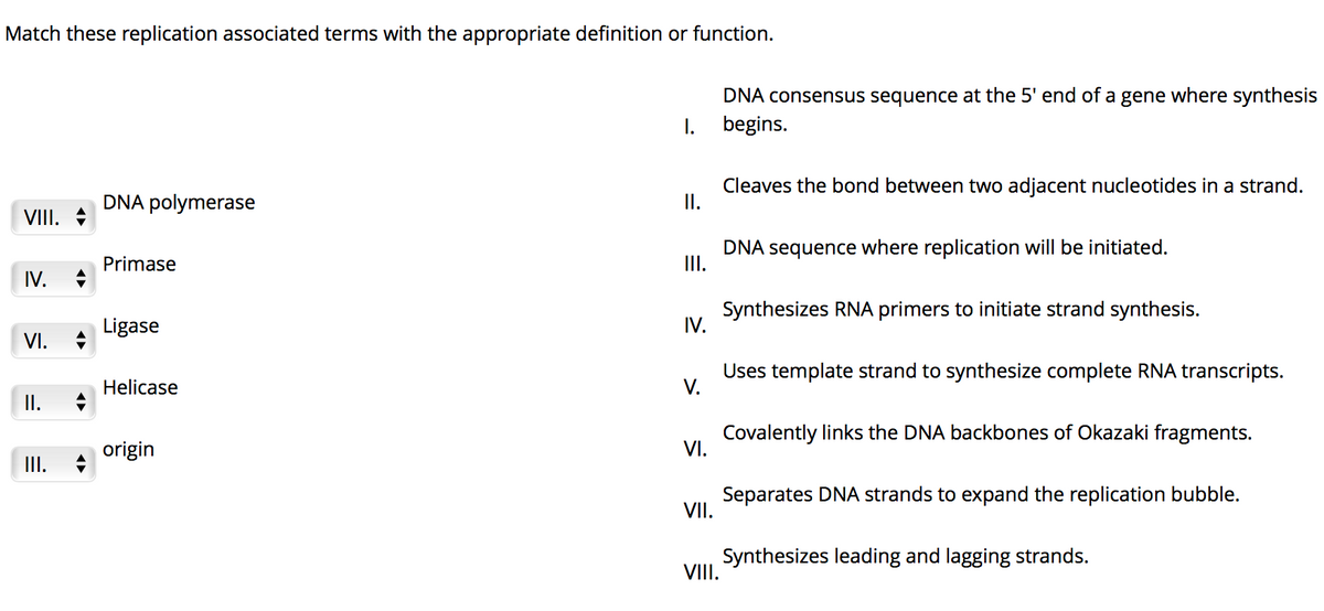 Match these replication associated terms with the appropriate definition or function.
DNA consensus sequence at the 5' end of a gene where synthesis
I.
begins.
DNA polymerase
Cleaves the bond between two adjacent nucleotides in a strand.
I.
VIII.
DNA sequence where replication will be initiated.
II.
Primase
IV.
Synthesizes RNA primers to initiate strand synthesis.
IV.
Ligase
VI.
Uses template strand to synthesize complete RNA transcripts.
Helicase
V.
I.
Covalently links the DNA backbones of Okazaki fragments.
VI.
origin
III.
Separates DNA strands to expand the replication bubble.
VII.
Synthesizes leading and lagging strands.
VIII.
