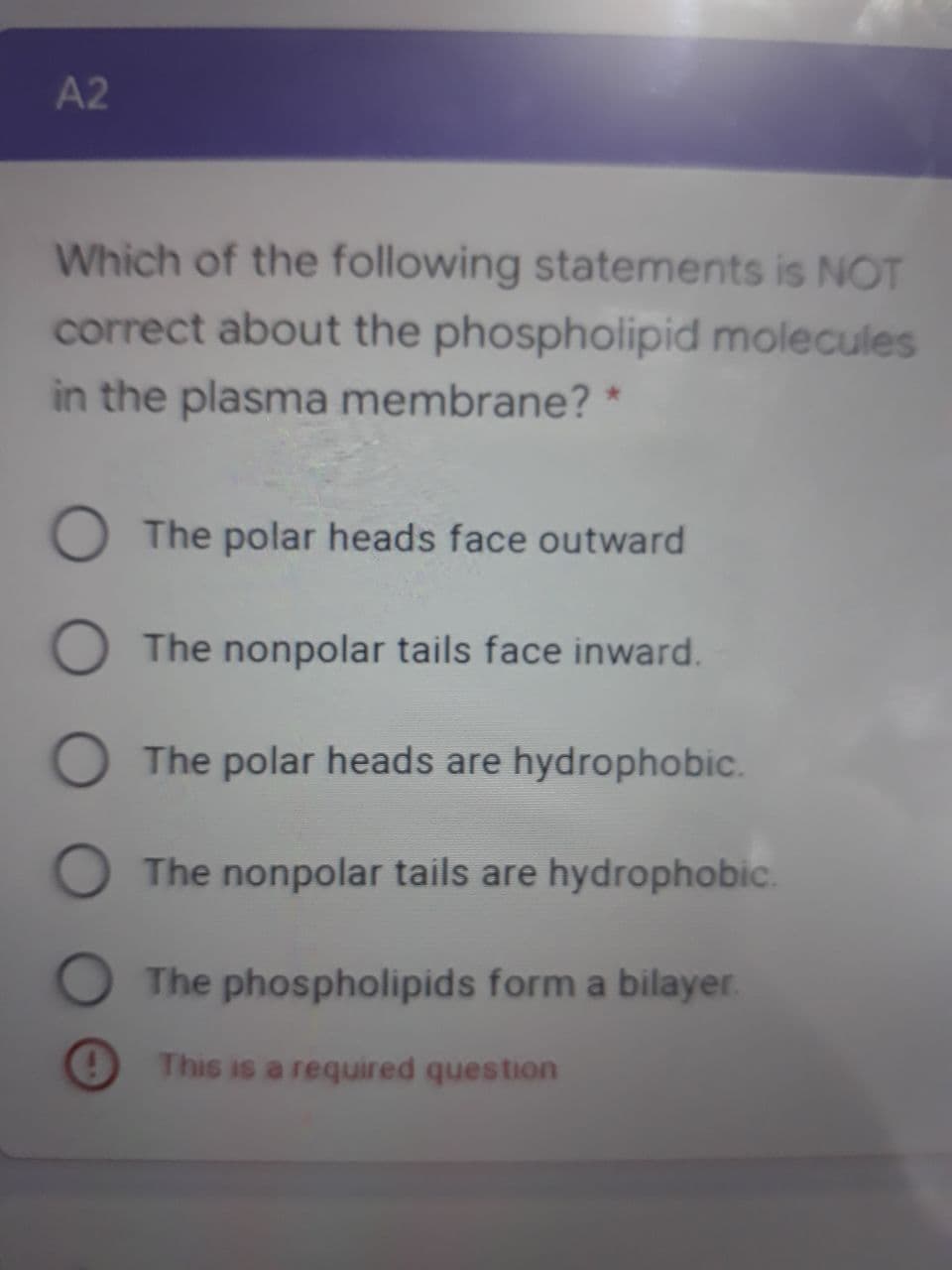 A2
Which of the following statements is NOT
correct about the phospholipid molecules
in the plasma membrane? *
O The polar heads face outward
The nonpolar tails face inward.
O The polar heads are hydrophobic.
O The nonpolar tails are hydrophobic.
The phospholipids form a bilayer.
This is a required question
