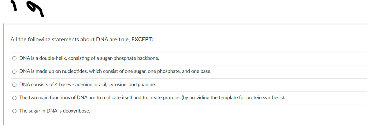 All the following statements about DNA are true, EXCEPT:
O DNA is a double-helix, consisting of a sugar-phosphate backbone.
O DNA is made up on nucleotides, which consist of one sugar, one phosphate, and one base.
O DNA consists of 4 bases - adenine, uracil, cytosine, and guanine.
The two main functions of DNA are to replicate itself and to create proteins (by providing the template for protein synthesis).
O The sugar in DNA is deoxyribose.
