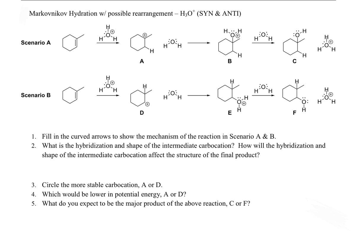Markovnikov Hydration w/ possible rearrangement – H;O* (SYN & ANTI)
H H
H
H
H.
Scenario A
H.
H.
В
H.
A
H
H.
HH
Scenario B
H.
H
D
E
F
1. Fill in the curved arrows to show the mechanism of the reaction in Scenario A & B.
2. What is the hybridization and shape of the intermediate carbocation? How will the hybridization and
shape of the intermediate carbocation affect the structure of the final product?
3. Circle the more stable carbocation, A or D.
4. Which would be lower in potential energy, A or D?
5. What do you expect to be the major product of the above reaction, C or F?
