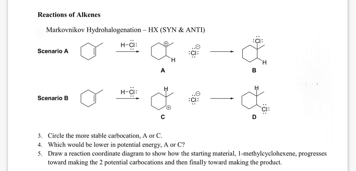 Reactions of Alkenes
Markovnikov Hydrohalogenation – HX (SYN & ANTI)
:ci:
H-CI:
Scenario A
H.
H.
A
В
H-CI:
Scenario B
:CI:
3. Circle the more stable carbocation, A or C.
4. Which would be lower in potential energy, A or C?
5. Draw a reaction coordinate diagram to show how the starting material, 1-methylcyclohexene, progresses
toward making the 2 potential carbocations and then finally toward making the product.
