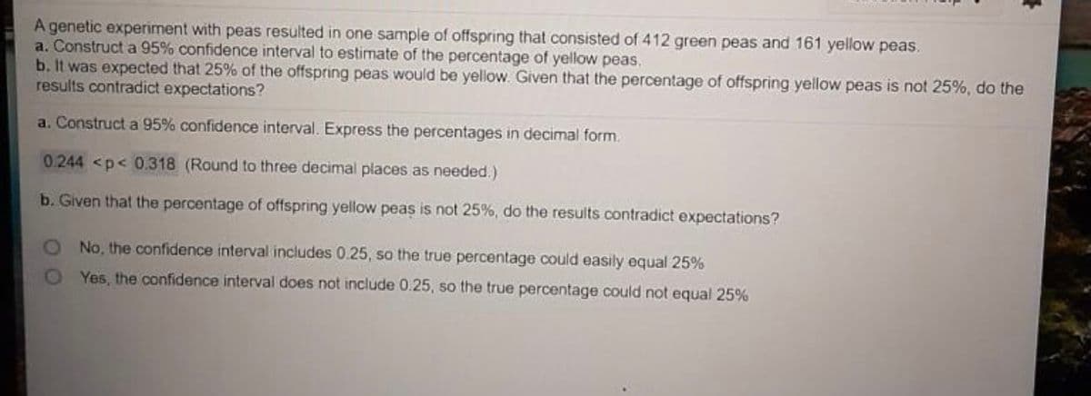 A genetic experiment with peas resulted in one sample of offspring that consisted of 412 green peas and 161 yellow peas.
a. Construct a 95% confidence interval to estimate of the percentage of yellow peas,
b. It was expected that 25% of the offspring peas would be yellow. Given that the percentage of offspring yellow peas is not 25%, do the
results contradict expectations?
a. Construct a 95% confidence interval. Express the percentages in decimal form.
0.244 <p< 0.318 (Round to three decimal places as needed.)
b. Given that the percentage of offspring yellow peas is not 25%, do the results contradict expectations?
No, the confidence interval includes 0.25, so the true percentage could easily equal 25%
O Yes, the confidence interval does not include 0.25, so the true percentage could not equal 25%
