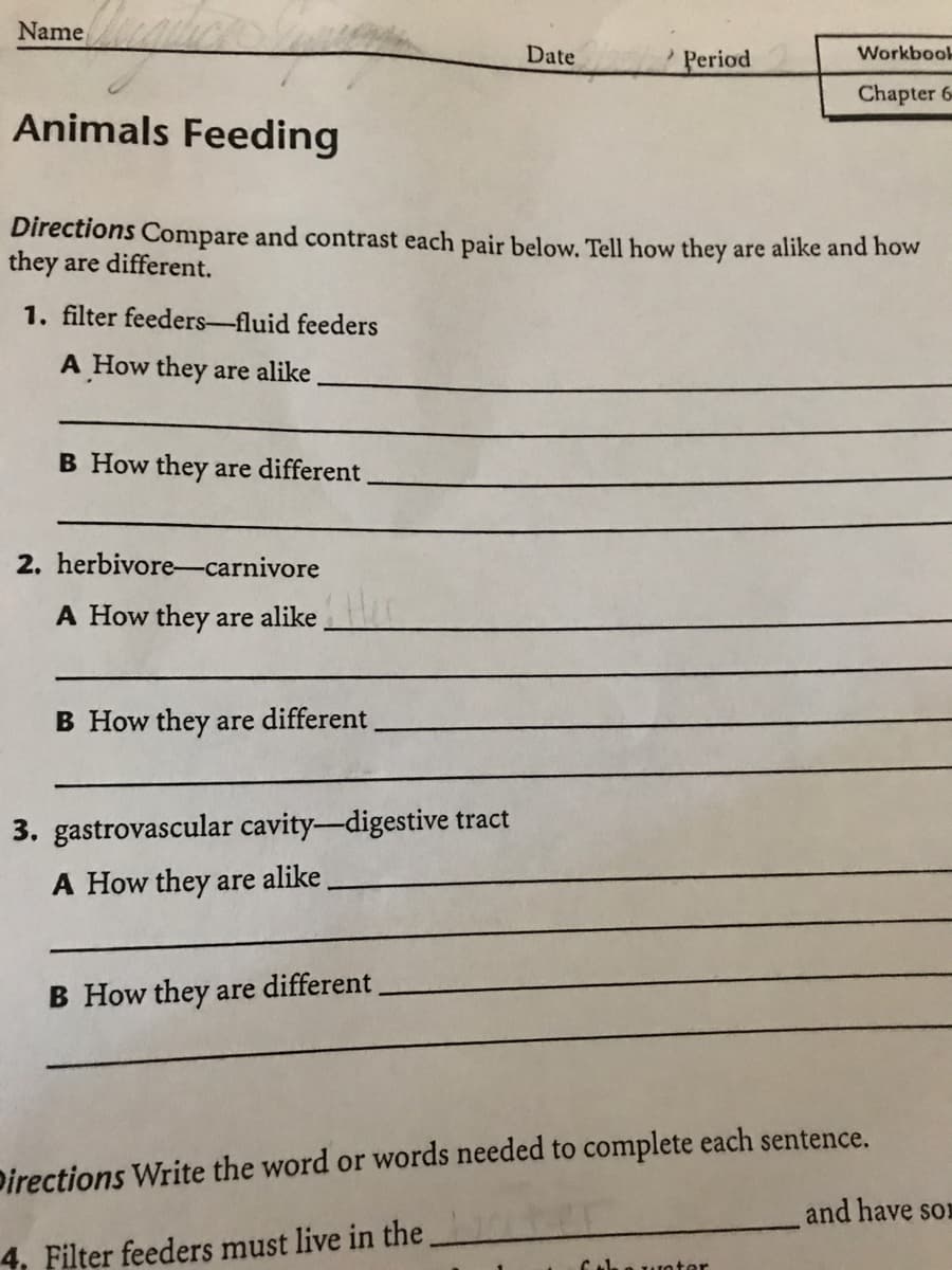 Name
Date
Period
Workbook
Chapter 6
Animals Feeding
Directions Compare and contrast each pair below. Tell how they are alike and how
they are different.
1. filter feeders-fluid feeders
A How they are alike
B How they are different
2. herbivore-carnivore
A How they are alike
B How they are different.
3. gastrovascular cavity-digestive tract
A How they are alike
B How they are different
Directions Write the word or words needed to complete each sentence.
and have son
4, Filter feeders must live in the.
Coha urotor
