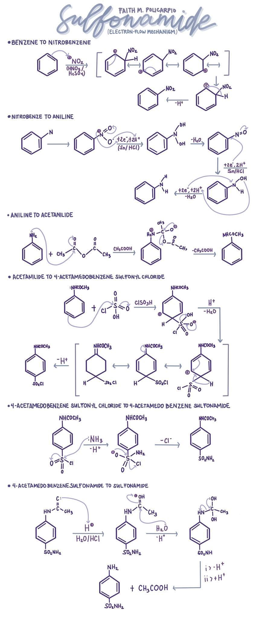 Eulfenamide
FAITH M. POLICARPIO
(ELECTRON-FLOW MECHANISM)
• BENZENE TO NITROBENZENE
NO2
NO2
NO2
NO2
(HNO3/
HeS04)
ON
-
NO2
-H*
• NITROBENZE TO ANILINE
DH
+2e,t2H*.
(Sn/ HCI)
-Heo.
+2e, 2H+
Sn/HCI
HO-
+2e, +2H
-H20
H.
• ANILINE TO ACETANILIDE
CHS
NH2
HzN
NHCOCH3
CHSCOOH
CH3
C.
-CH3COOH
+ CHs
• ACETANILIDE TO 4-ACETAMEDOBENZENE SULFONYL CHLORIDE
NHCOCH3
NHCOCHS
CISOSH
H*
-H20
OH
OH
NHCOCHS
NHCOCH3
NHCOCH3
NHCOCH3
H
SO,CI
•4-ACETAMEDO BENZENE SULTONYL CHLORIDE TO 4-ACETAMEDO BENZENE SUL FONAMIDE
NHCOCH3
NHCOCH3
NHCOCH,
NH3
H-
-CI
NH2
ŠO NH,
• 4-ACETAMEDO BENZENESULFONAMIDE TO SULFONAMIDE
O OH
C:
HO:
HN-
CH3
HN-
CH3
HN-
CH3
OH
H°
Hzö
H20/HCI
„H.
ŠO, NH2
SO, NH2
SO̟NH
NH2
i> -H*
ii>+H*
+ CH,COOH
SO-NH2
