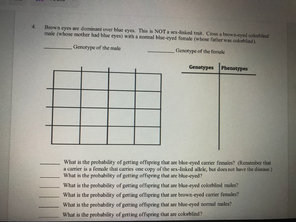 4.
Brown eyes are dominant over blue eyes. This is NOTA sex-linked trait. Cross a brown-eyed colorblind
male (whose mother had blue eyes) with a normal blue-eyed female (whose father was colorblind).
Genotype of the male
Genotype of the female
Genotypes
Phenotypes
What is the probability of getting offspring that are blue-eyed carrier females? (Remember that
a carrier is a female that carries one copy of the sex-linked allele, but does not have the disease.)
What is the probability of getting offspring that are blue-eyed?
What is the probability of getting offspring that are blue-eyed colorblind males?
What is the probability of getting offspring that are brown-eyed carrier females?
What is the probability of getting offspring that are blue-eyed normal males?
What is the probability of getting offspring that are colorblind?
