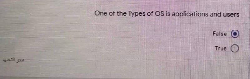 One of the Types of OS is applications and users
False
True O
