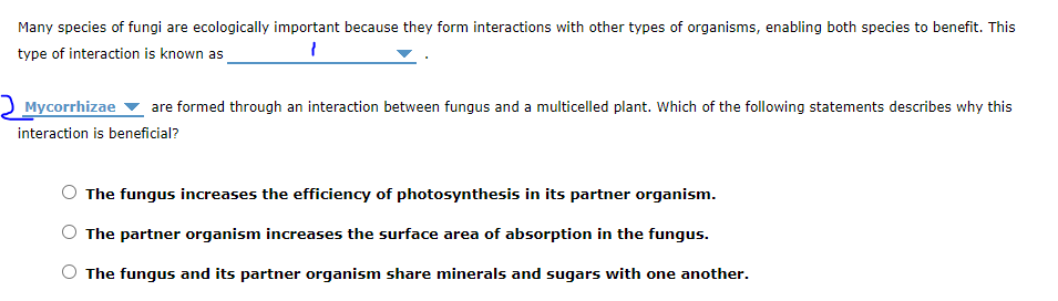Many species of fungi are ecologically important because they form interactions with other types of organisms, enabling both species to benefit. This
type of interaction is known as
Mycorrhizae ▼ are formed through an interaction between fungus and a multicelled plant. Which of the following statements describes why this
interaction is beneficial?
The fungus increases the efficiency of photosynthesis in its partner organism.
The partner organism increases the surface area of absorption in the fungus.
The fungus and its partner organism share minerals and sugars with one another.
