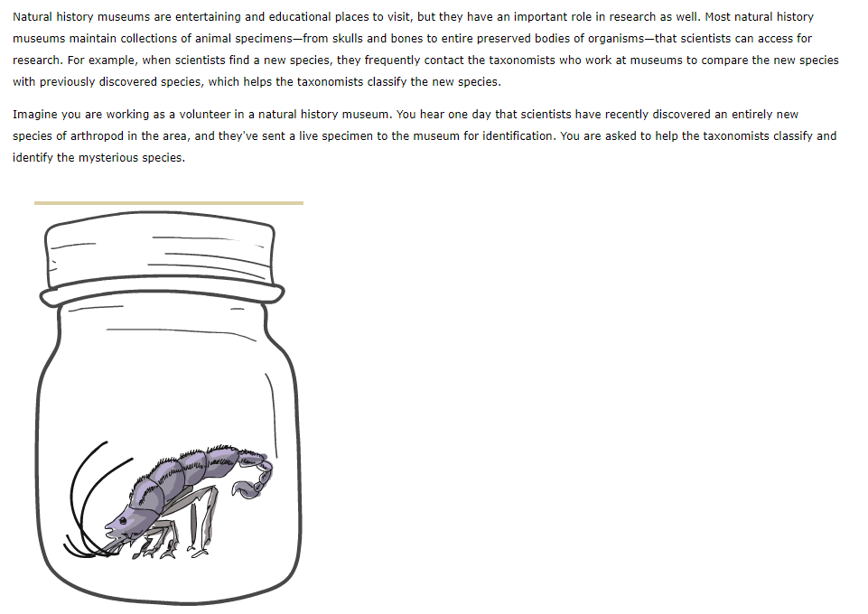 Natural history museums are entertaining and educational places to visit, but they have an important role in research as well. Most natural history
museums maintain collections of animal specimens-from skulls and bones to entire preserved bodies of organisms-that scientists can access for
research. For example, when scientists find a new species, they frequently contact the taxonomists who work at museums to compare the new species
with previously discovered species, which helps the taxonomists classify the new species.
Imagine you are working as a volunteer in a natural history museum. You hear one day that scientists have recently discovered an entirely new
species of arthropod in the area, and they've sent a live specimen to the museum for identification. You are asked to help the taxonomists classify and
identify the mysterious species.
