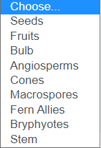 Choose...
Seeds
Fruits
Bulb
Angiosperms
Cones
Macrospores
Fern Allies
Bryphyotes
Stem