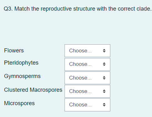 Q3. Match the reproductive structure with the correct clade.
Flowers
Pteridophytes
Gymnosperms
Clustered Macrospores
Microspores
Choose...
Choose...
Choose...
Choose...
Choose...
O
O
4