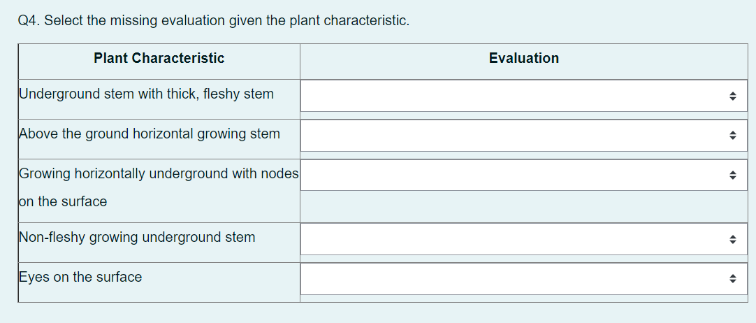 Q4. Select the missing evaluation given the plant characteristic.
Plant Characteristic
Underground stem with thick, fleshy stem
Above the ground horizontal growing stem
Growing horizontally underground with nodes
on the surface
Non-fleshy growing underground stem
Eyes on the surface
Evaluation