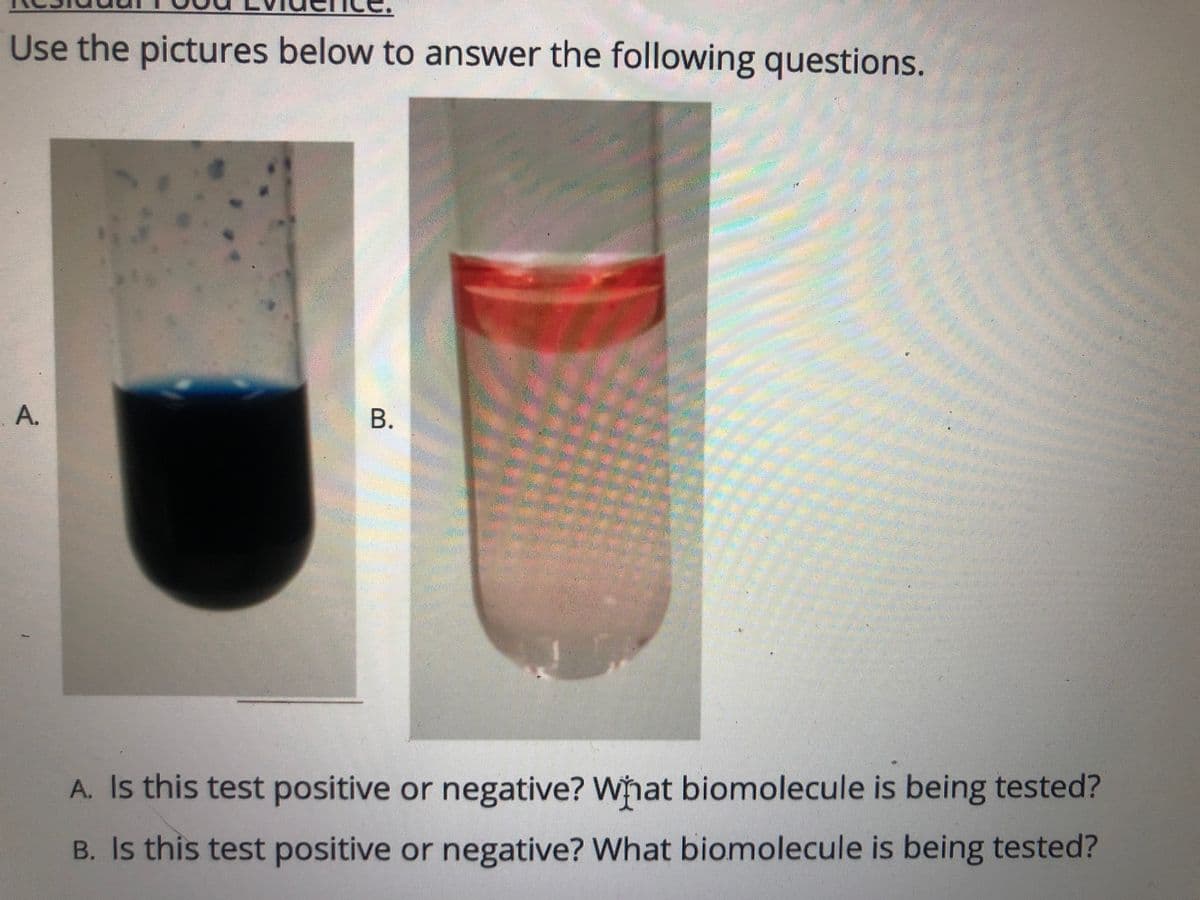 Use the pictures below to answer the following questions.
A. Is this test positive or negative? What biomolecule is being tested?
B. Is this test positive or negative? What biomolecule is being tested?
B.
A.
