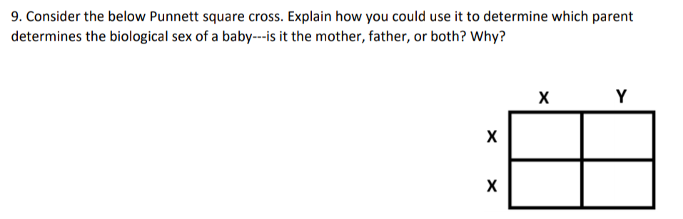 9. Consider the below Punnett square cross. Explain how you could use it to determine which parent
determines the biological sex of a baby---is it the mother, father, or both? Why?
X
Y
X

