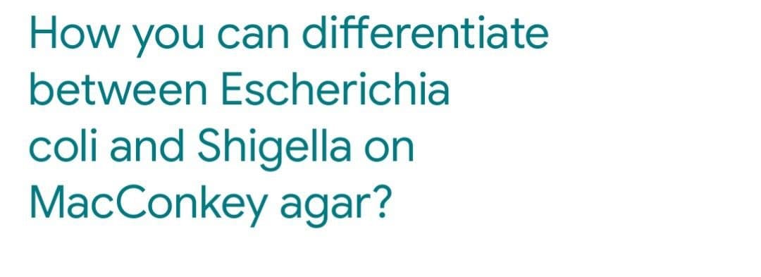 How you can differentiate
between Escherichia
coli and Shigella on
MacConkey agar?
