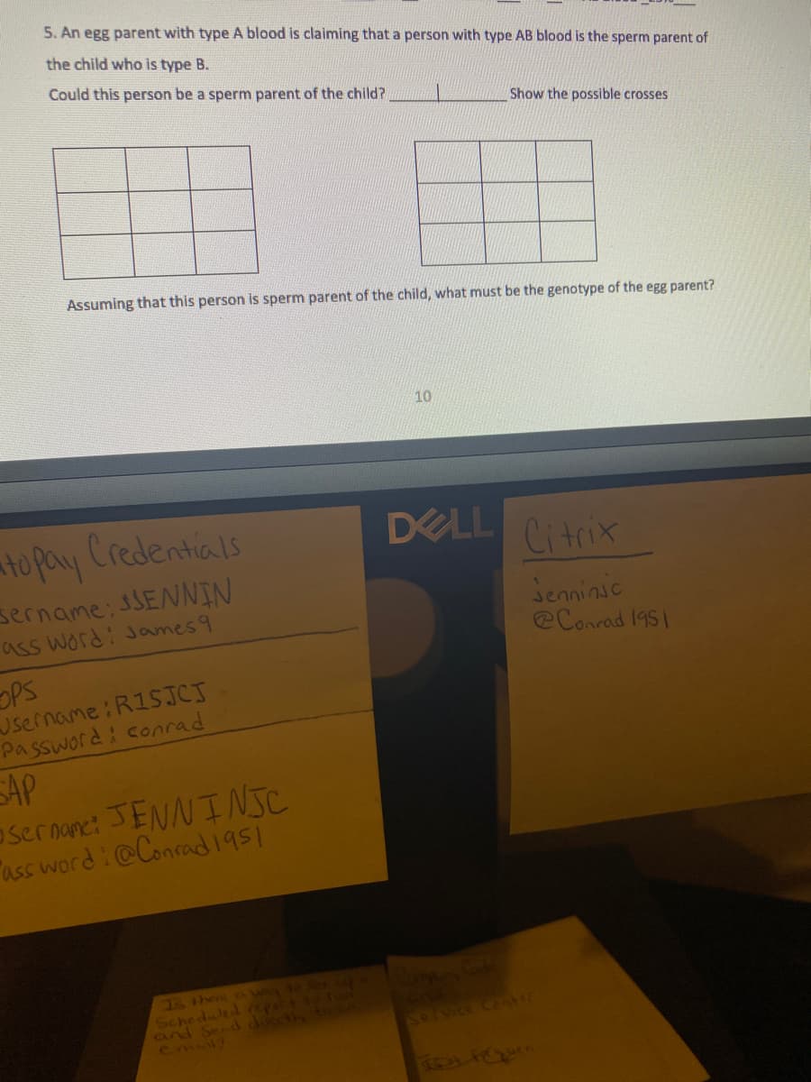 5. An egg parent with type A blood is claiming that a person with type AB blood is the sperm parent of
the child who is type B.
Could this person be a sperm parent of the child?
Show the possible crosses
Assuming that this person is sperm parent of the child, what must be the genotype of the egg parent?
10
to pay Credentials
DELL
Citrix
sername:JSENNIN
Senninic
eConrad 1951
ass word: James9
Jsername:R1SJCJ
Password: conrad
SAP
sermnct JENNINSC
ass word:@Conrad1951
Tsthere A way t0 3
Scheduled report
ad Send deect to
Cmol?
Solvice CeA
