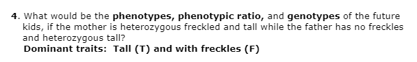 4. What would be the phenotypes, phenotypic ratio, and genotypes of the future
kids, if the mother is heterozygous freckled and tall while the father has no freckles
and heterozygous tall?
Dominant traits: Tall (T) and with freckles (F)

