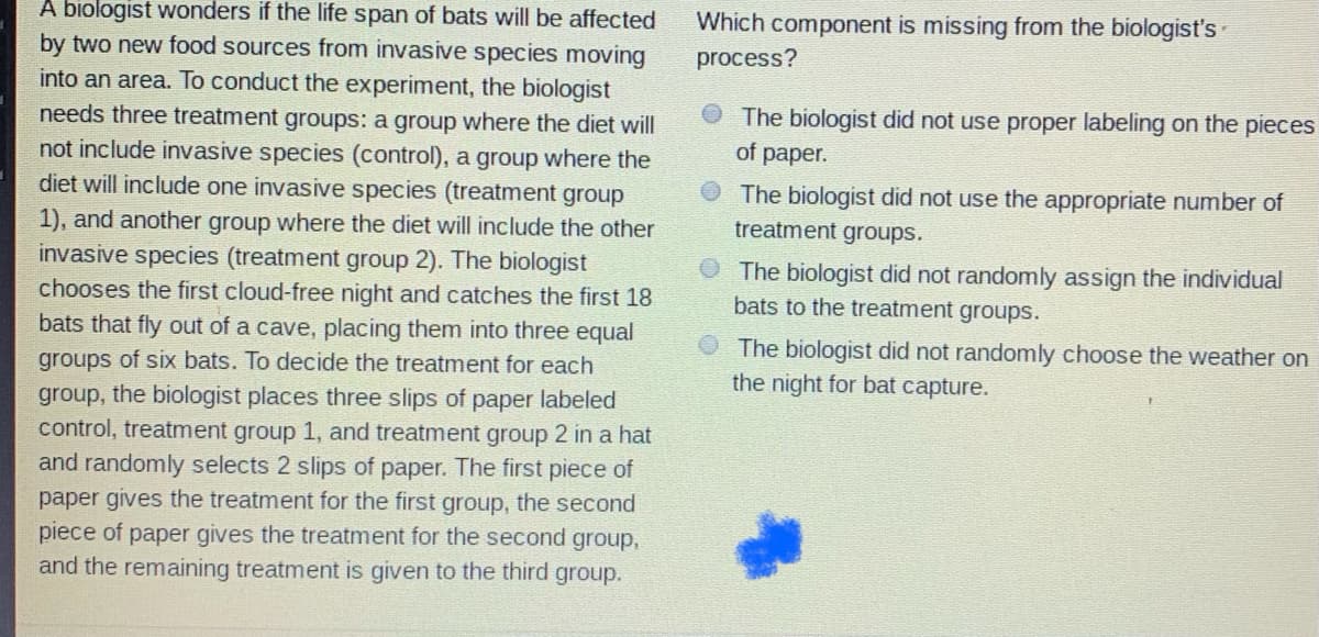 A biologist wonders if the life span of bats will be affected
by two new food sources from invasive species moving
into an area. To conduct the experiment, the biologist
Which component is missing from the biologist's
process?
The biologist did not use proper labeling on the pieces
of paper.
needs three treatment groups: a group where the diet will
not include invasive species (control), a group where the
diet will include one invasive species (treatment group
1), and another group where the diet will include the other
invasive species (treatment group 2). The biologist
The biologist did not use the appropriate number of
treatment groups.
The biologist did not randomly assign the individual
bats to the treatment groups.
chooses the first cloud-free night and catches the first 18
bats that fly out of a cave, placing them into three equal
The biologist did not randomly choose the weather on
the night for bat capture.
groups of six bats. To decide the treatment for each
group, the biologist places three slips of paper labeled
control, treatment group 1, and treatment group 2 in a hat
and randomly selects 2 slips of paper. The first piece of
paper gives the treatment for the first group, the second
piece of paper gives the treatment for the second group,
and the remaining treatment is given to the third group.
